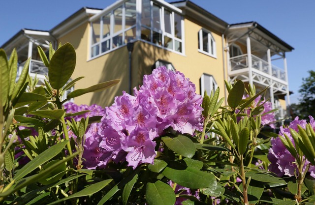Appartement 2 pièces avec grand jardin d'hiver avec cheminée dans les combles