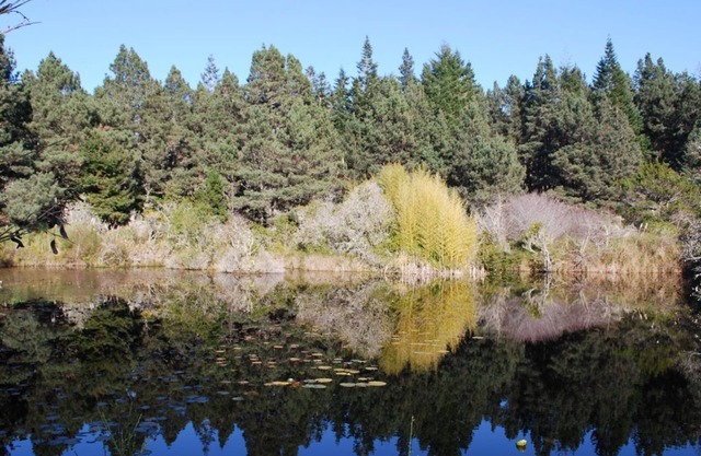 2 Seperate Cottages on 50 + acre Mendocino Tranquility Meadows Nature Sanctuary