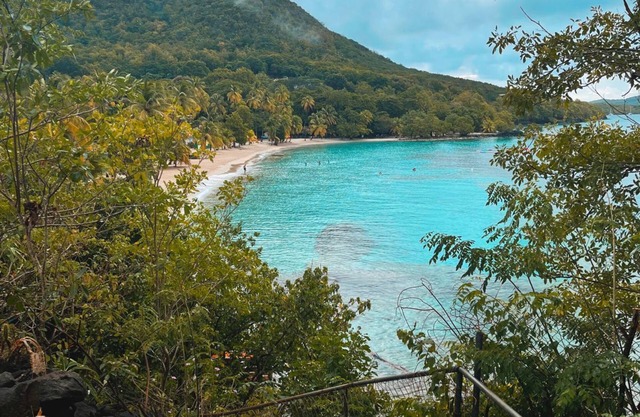 2 villas avec piscine sur la plage de l'Anse Figuier