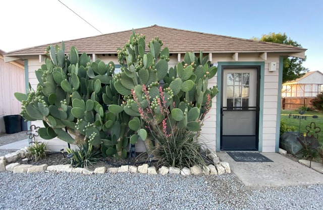 20 minutes from Carrizo Plain National Monument. Twisselman's Cactus Casa