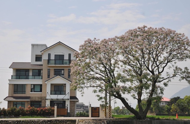 201 Chambre double vue montagne Hualien