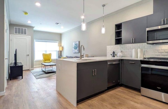 210 Brand New 1 Bedroom, 1 Bath, 1 Full Kit, 1 Liv