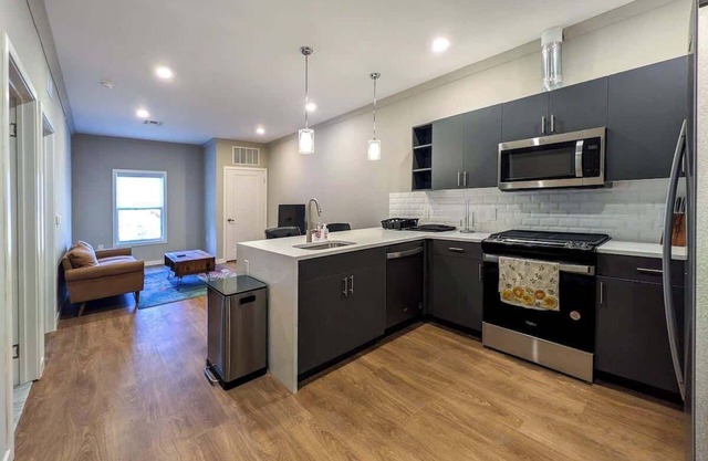 224 Brand New 1 Bedroom, 1 Bath, 1 Kitchen, 1 Liv