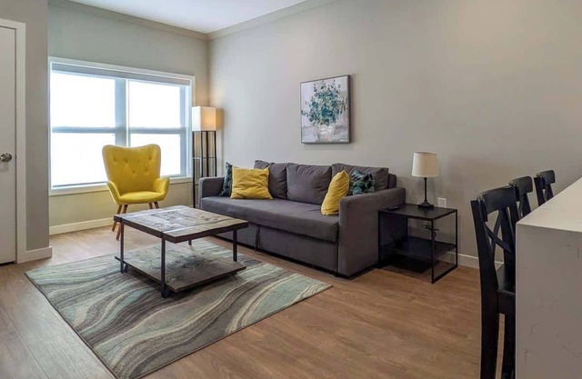 229 Brand New 1 Bedroom, 1 Bath, 1 Kitchen, 1 Liv