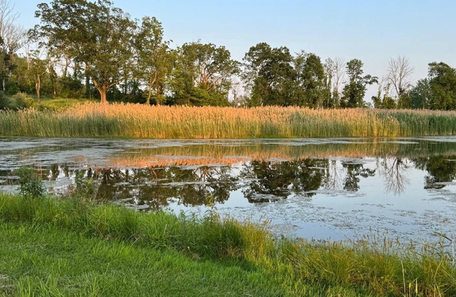 250 Acres of Refined Serenity for Bespoke Events & Gatherings