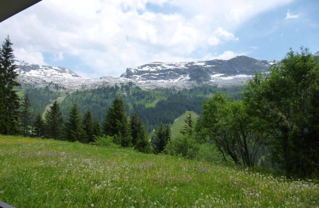 À 250m des pistes de ski, 2ème étage, vue pistes de ski, balcon, télévision, casier à ski, 37m²