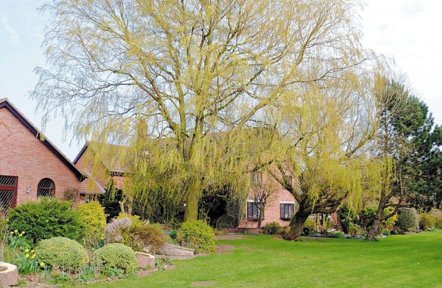 Logement de 3 chambres à Addlethorpe
