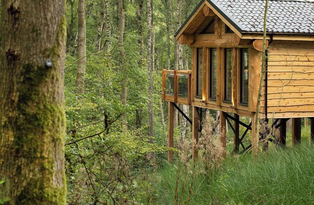 New in 2022. Primrose Treehouse is the perfect woodland getaway for larger families.