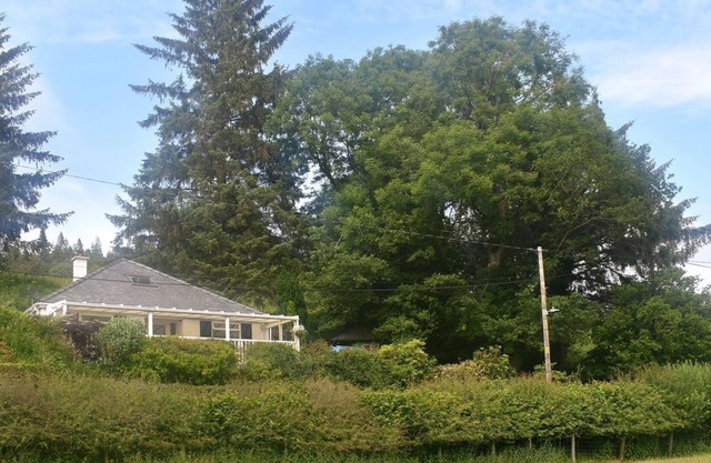 3 bedroom accommodation in Trefriw, near Betws-Y-Coed