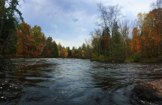 Cabine de 3 chambres avec accès privé à 2000 pieds de rivière