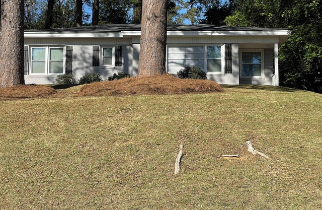3-bedroom house in delightful Macon with WiFi, AC