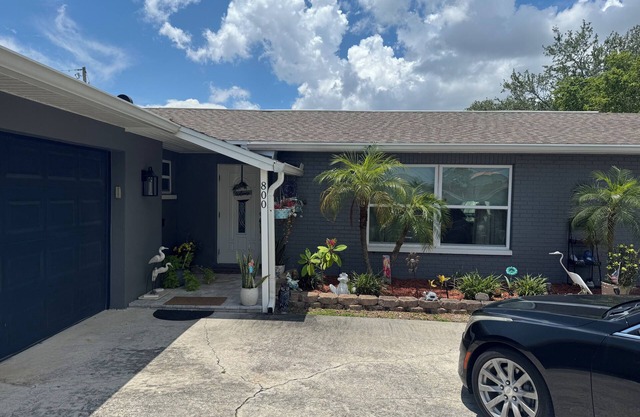 3-bedroom Pool house in fantastic St. Petersburg with AC, WiFi, Spacious home