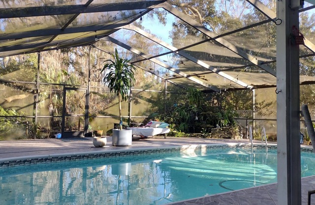 Relax with Nature by the Pool under 200 year old Oaks -Near Tampa/Beach/ Springs