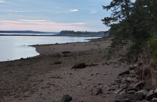 3 cabin family package, 6 kayaks,3 fire pits, full kitchens, no pet fee