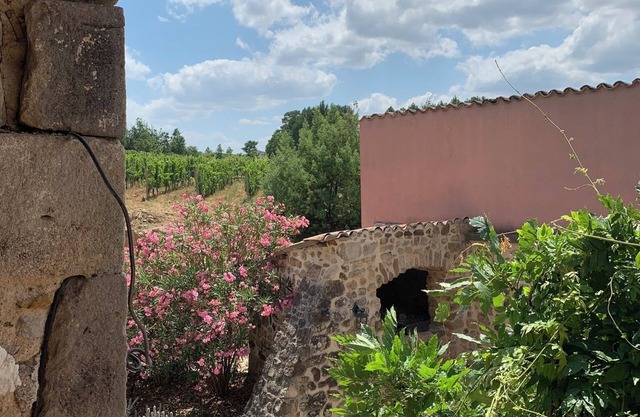 ECOGITE 3 étoiles 8/10Pers AU COEUR DES VIGNES