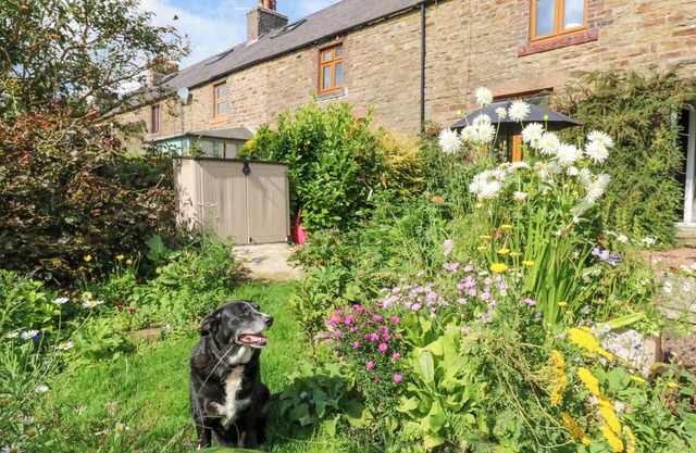 3 Tindale Terrace