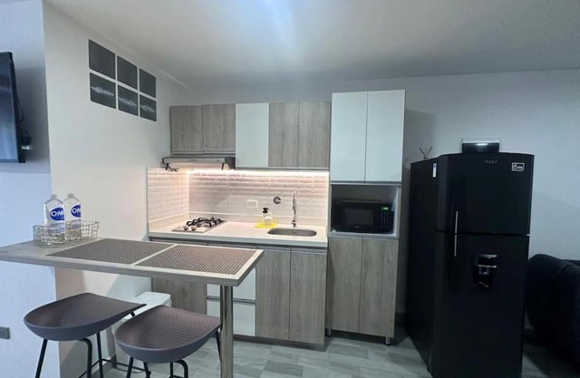 302 Céntrico, moderno aparta estudio