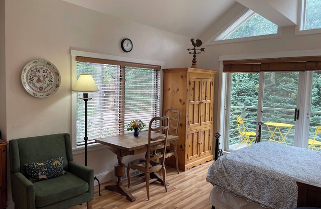 33c studio in Telluride MV, close to the Gondola