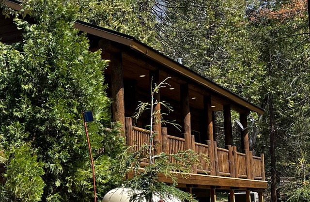 38 La mini cabine dans le parc national de Yosemite (Wawona)