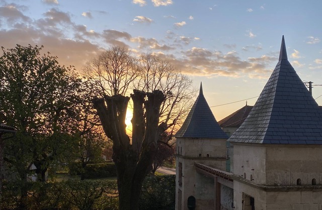Maison de maitre de 380 m2 a 15km de Saint-Emilion