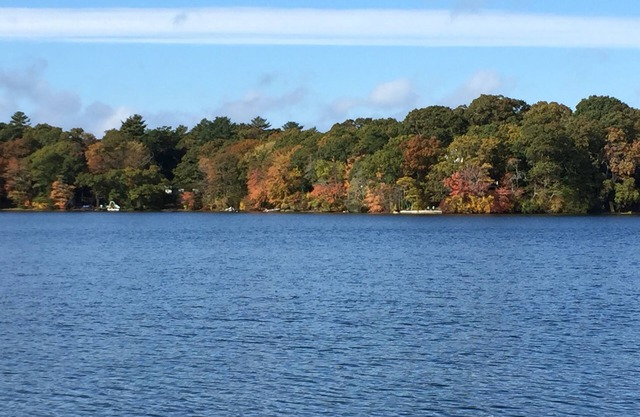 4+ Acre Pond Front Retreat, terrain de basket