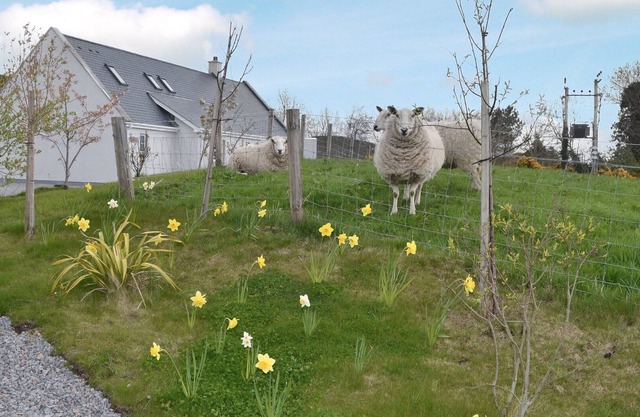 4 chambres hébergement à Rosemarkie