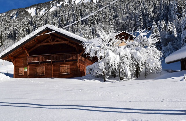 Chalet indépendant 4 chambres ABONDANCE environnement nature.