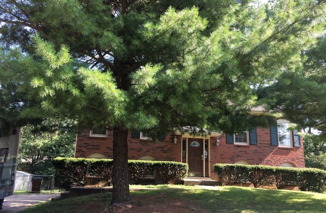 4 BR, 2 story, room to roam w/ privacy. Great location, outside eating area.