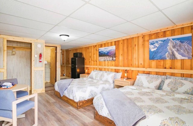 #4 Spacious Dog Friendly Cozy Motel Room Leadville