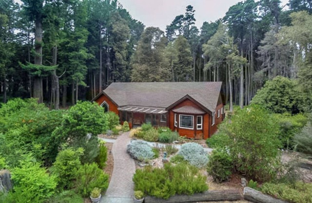 5 acres de retraite paisible dans la forêt à quelques minutes de la plage et de la ville