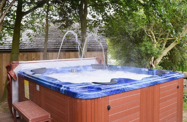 Chalet de luxe 5 * avec bain à remous / sauna / WIFI / Sky, jardin clos et animaux acceptés