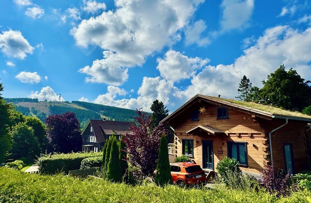 Maisons en bois 5 étoiles avec sauna + cheminée dans les Alpes - style chalet, relax "cabane"