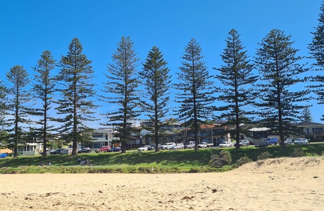 5 minutes to beaches park & beach walks pet friendly
