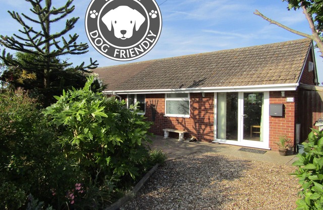 50 meters from miles of dog friendly beach