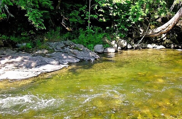 6 Acres Of River Front Heaven, dates de juillet et août disponibles !!!
