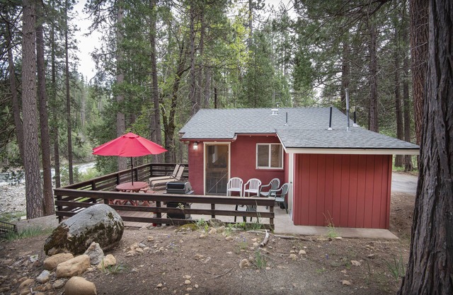 65 nid de moineau à l'intérieur du parc national de Yosemite