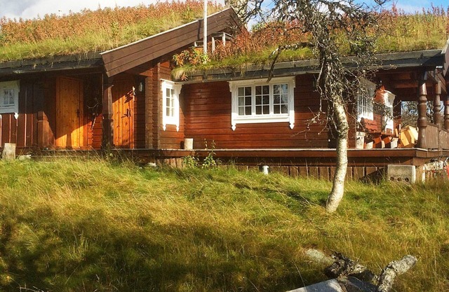 Maison de vacances pour 8 a Etnedal-By Traum