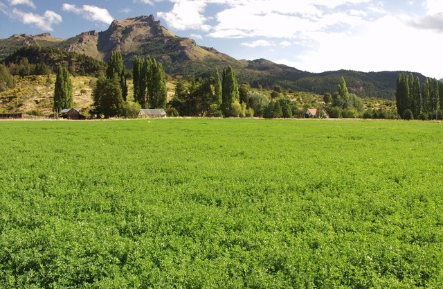 880 Acre Ranch dans le Lake District d'Argentine
