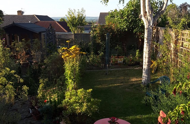 A. B&B - Glastonbury