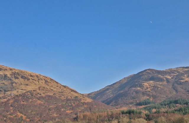 3 bedroom accommodation in Benmore near Dunoon