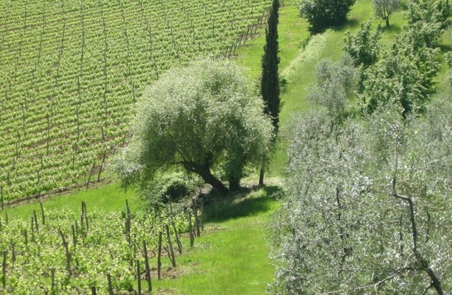 A Cosy villa toscane, avec une vue imprenable sur les collines du Chianti Près de Florence