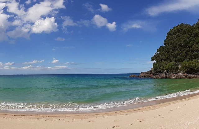 Escapade en couple et lieu de vacances à la plage pour animaux de compagnie