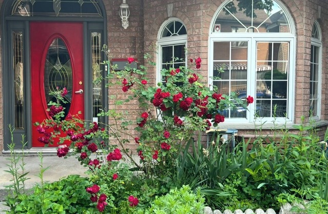 A Cozy & Bright Apartment w/Terrace-Friendly Neighbourhood Downtown Toronto