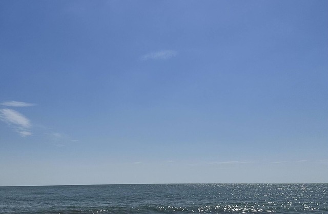 A-Fish-n-Sea