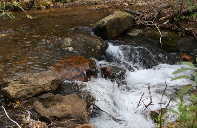 Paradis pour les randonneurs! Cabine privée sur la petite, Rushing ruisseau près de A / T