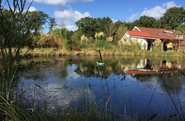 Une petite oasis au milieu de la nature