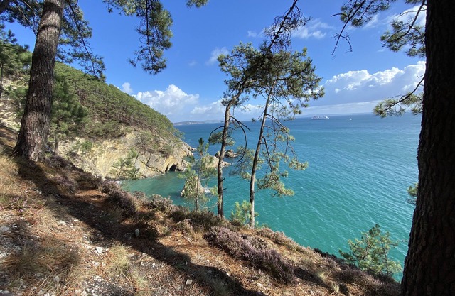 UNE AMBIANCE LOFT ENTRE TERRE ET MER