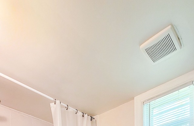 A lovely cottage within a 10 minute walk to the beautiful beaches of Inverhuron.