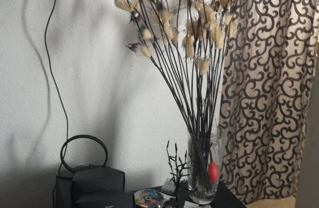 Un appartement entouré de nature