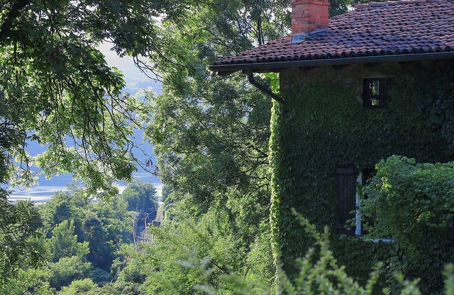 Un paradis avec vue sur le lac, grande maison avec beau jardin privé